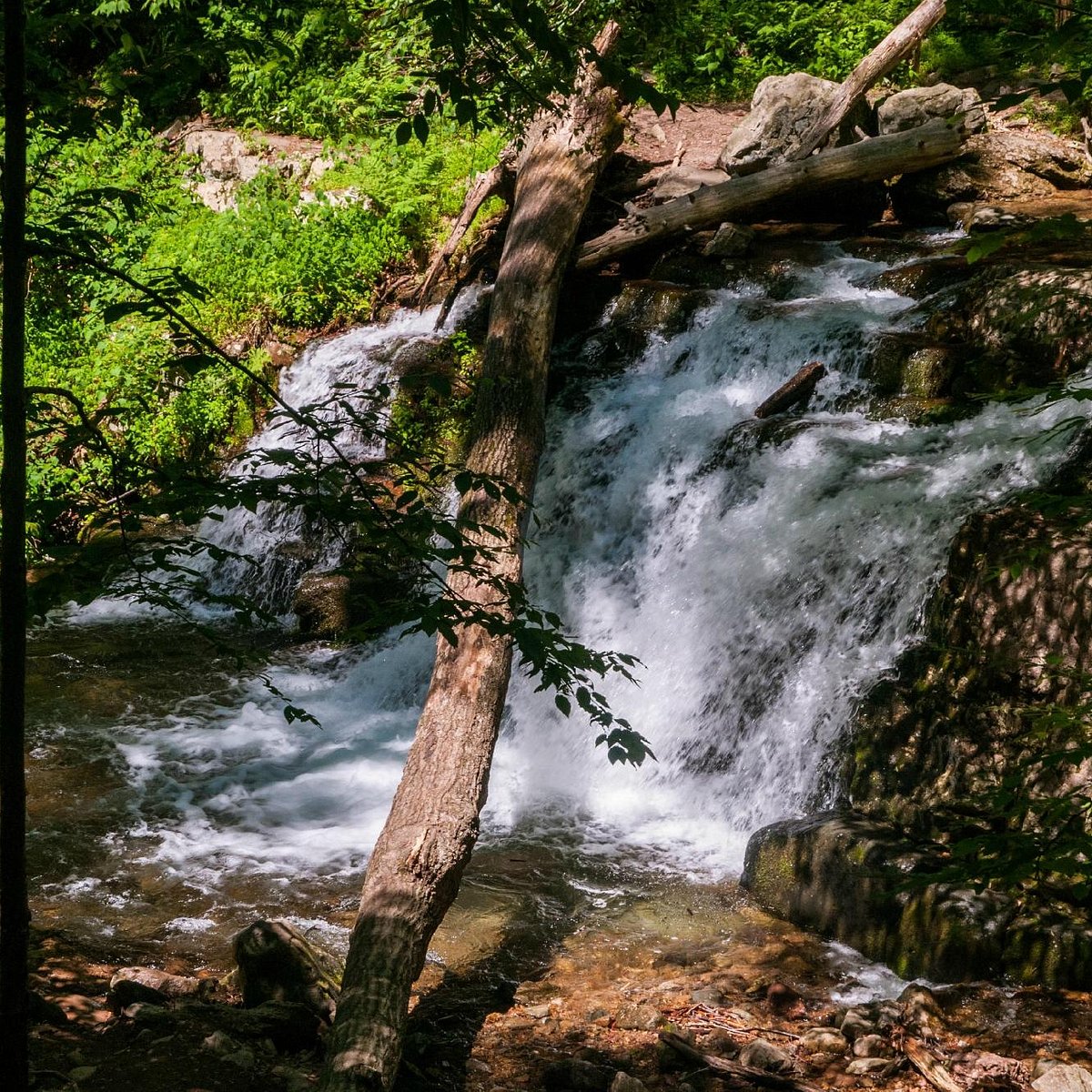 Worthington & Worthington LLC Clinton, NJ Office