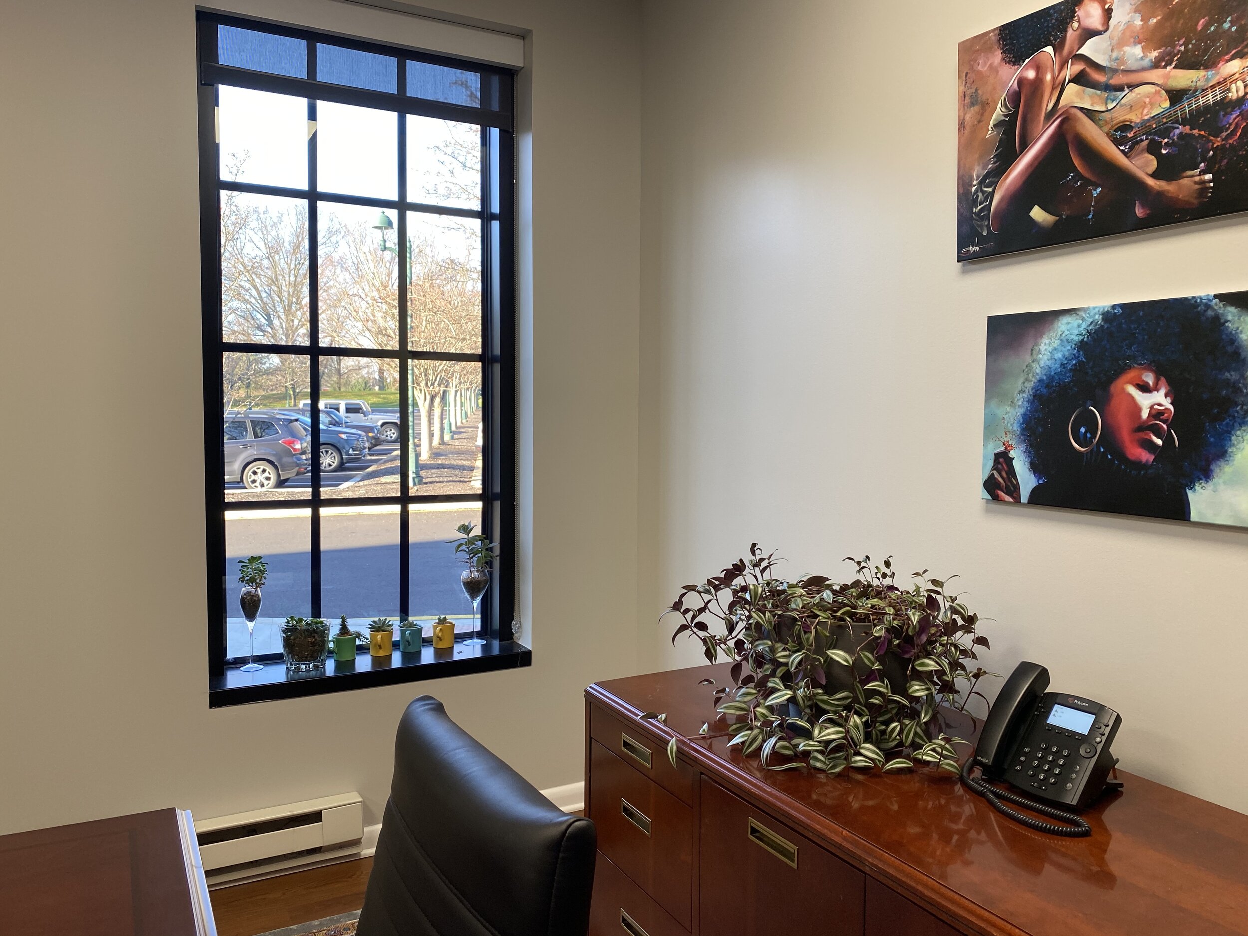 Elle Van Dahlgren Law, LLC Greenville,  Office