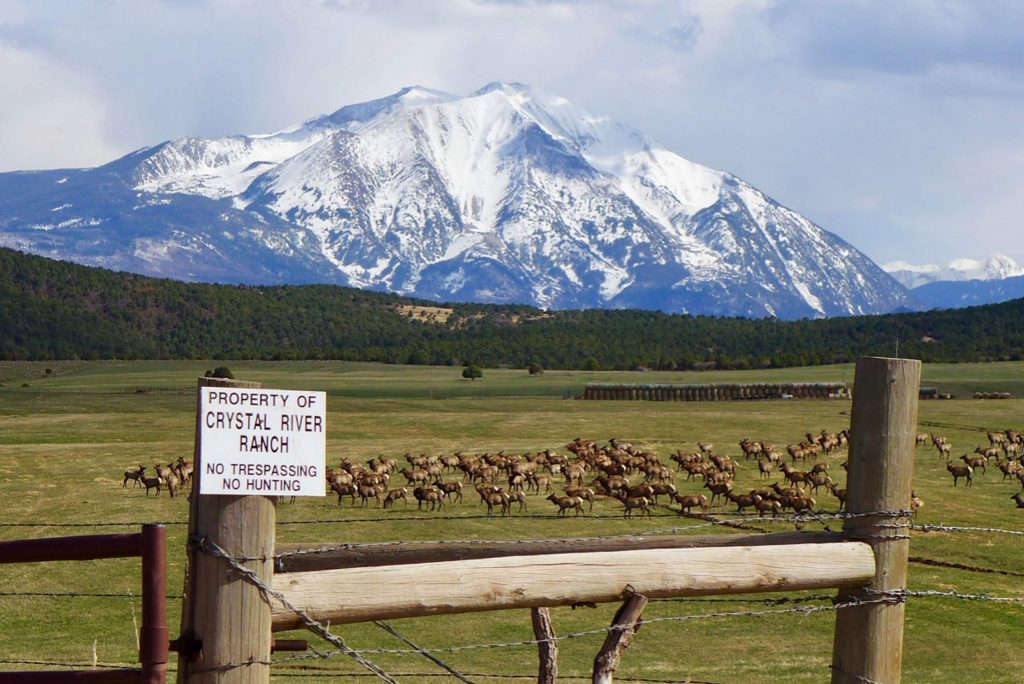 Porzak Browning & Bushong Vail, CO Office