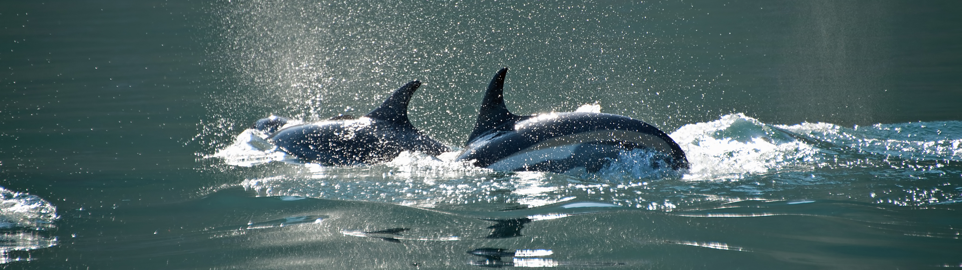 Gowling WLG International Limited London, United Kingdom Office