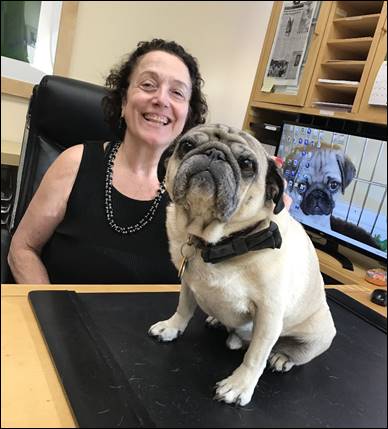 Law Offices of Alice A. Salvo, PC Woodland Hills, CA Office