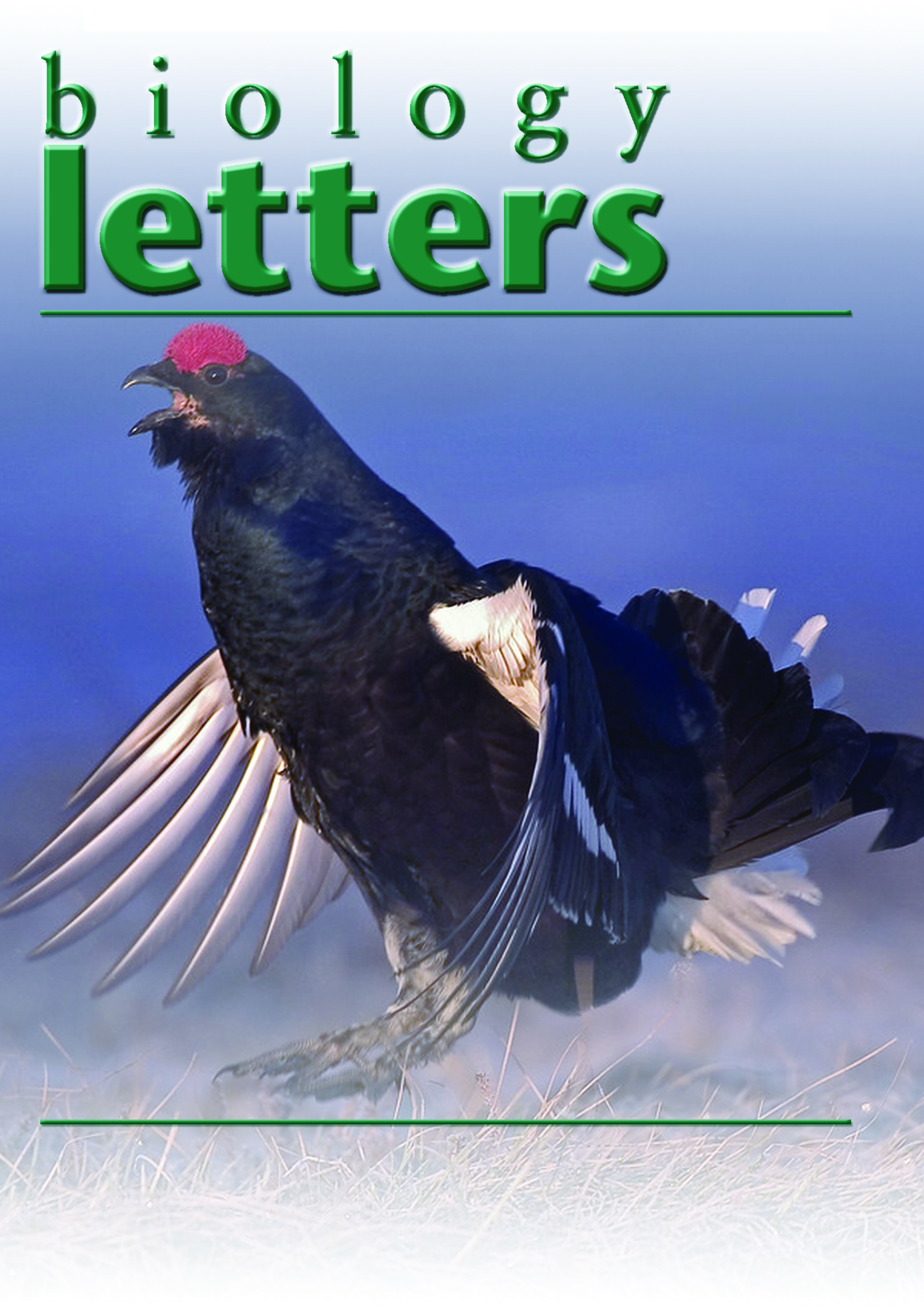 Bird & Bird Stockholm, Sweden Office