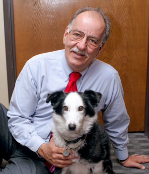 Acuna Regli, Attorneys at Law Pleasant Hill,  Office