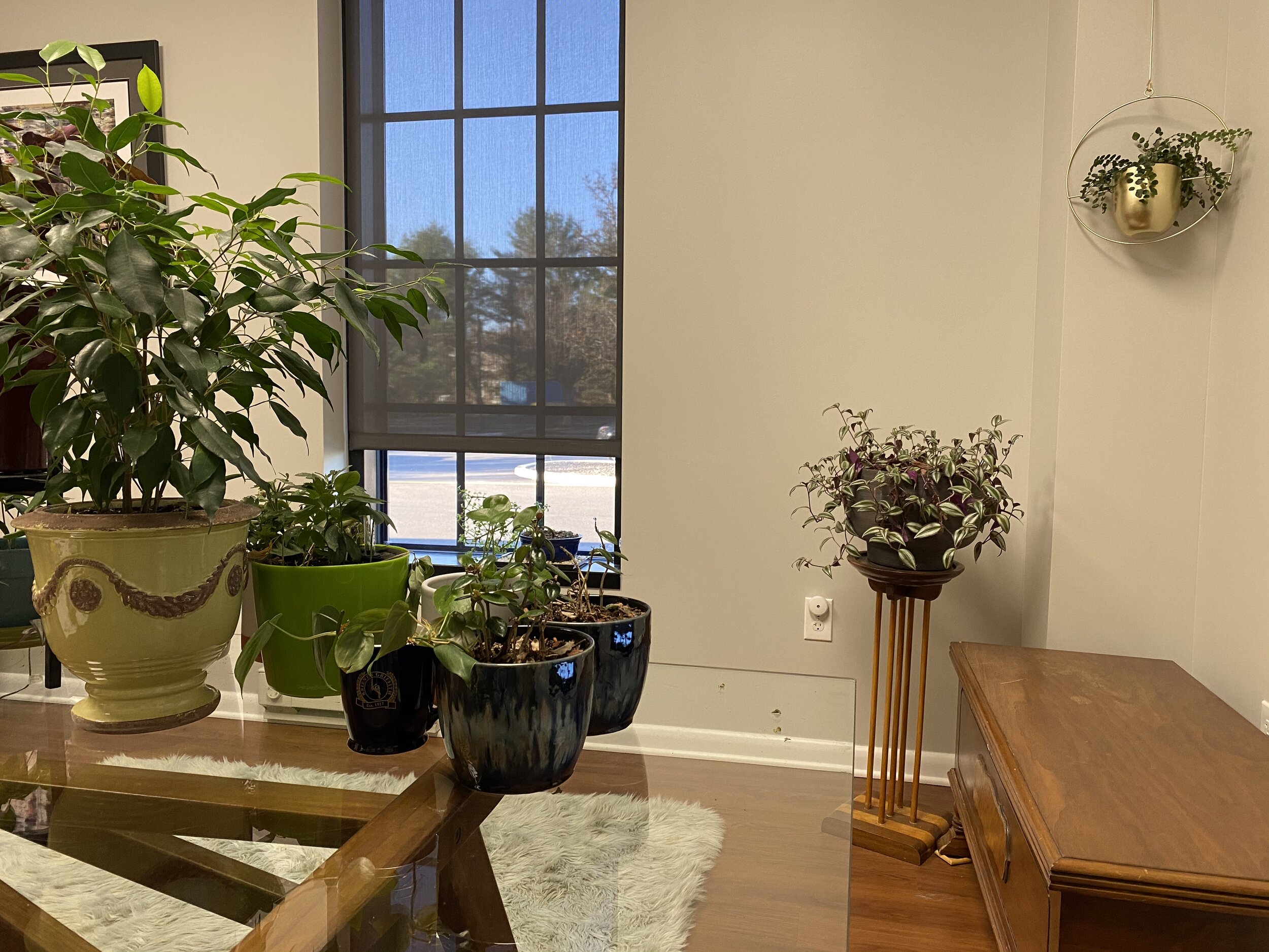 Elle Van Dahlgren Law, LLC Greenville,  Office