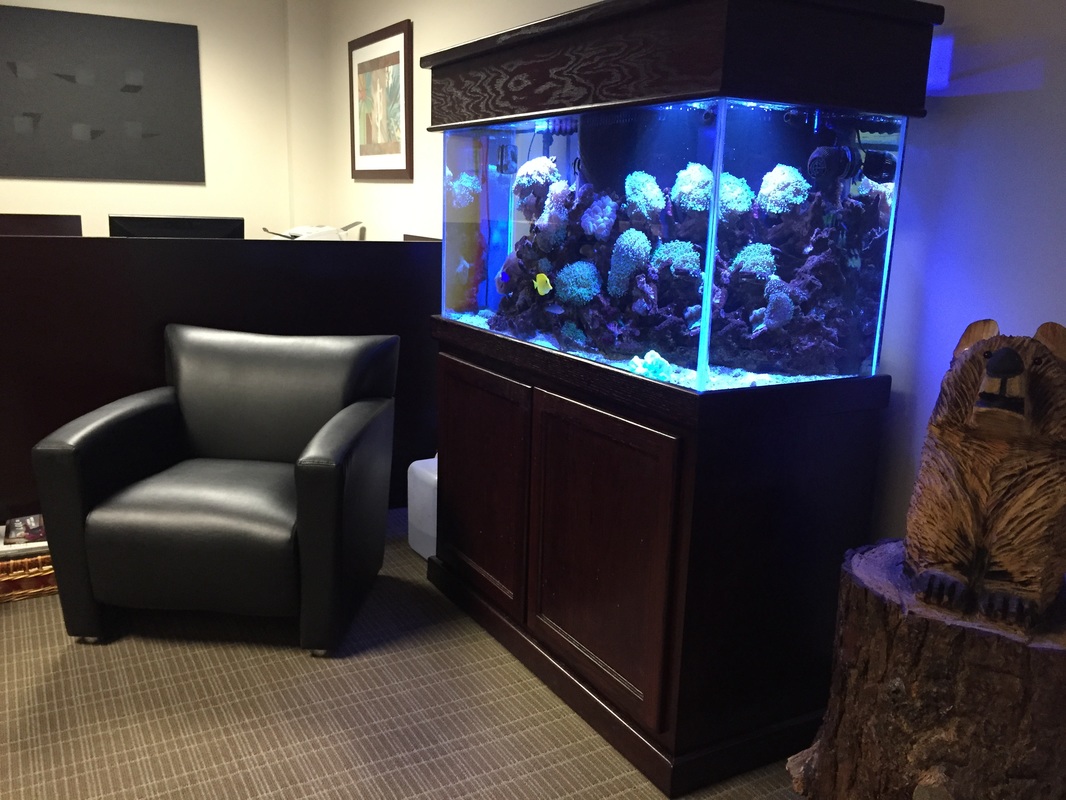 Joyce Lindauer Attorney PLLC Ennis, TX Office