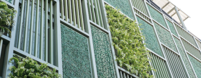 Beale & Company Solicitors LLP Dublin, Ireland Office