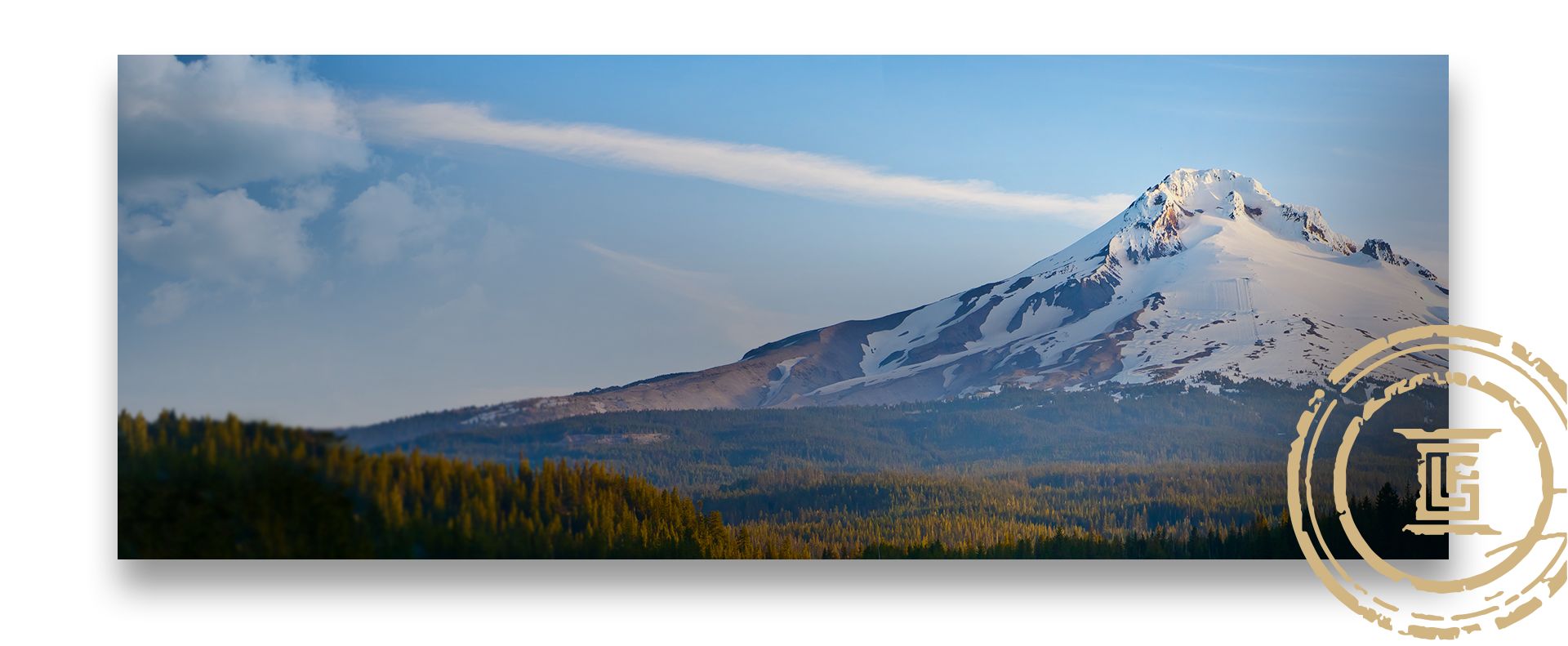 The Gatti Law Firm Eugene, OR Office