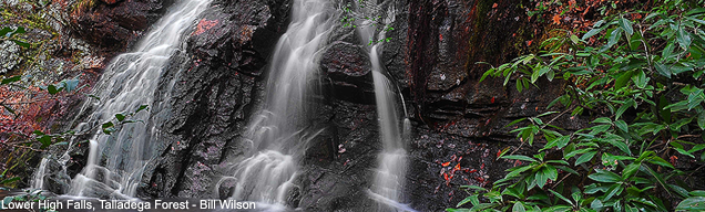 Alexander Shunnarah Selma, AL Office