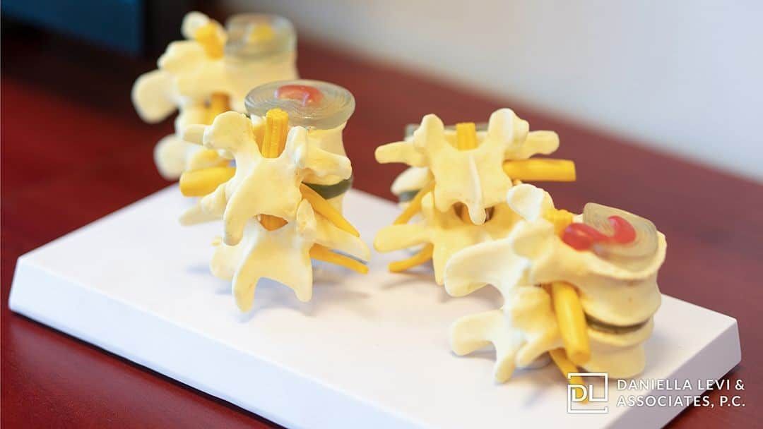 Daniella Levi & Associates, PC New York City,  Office