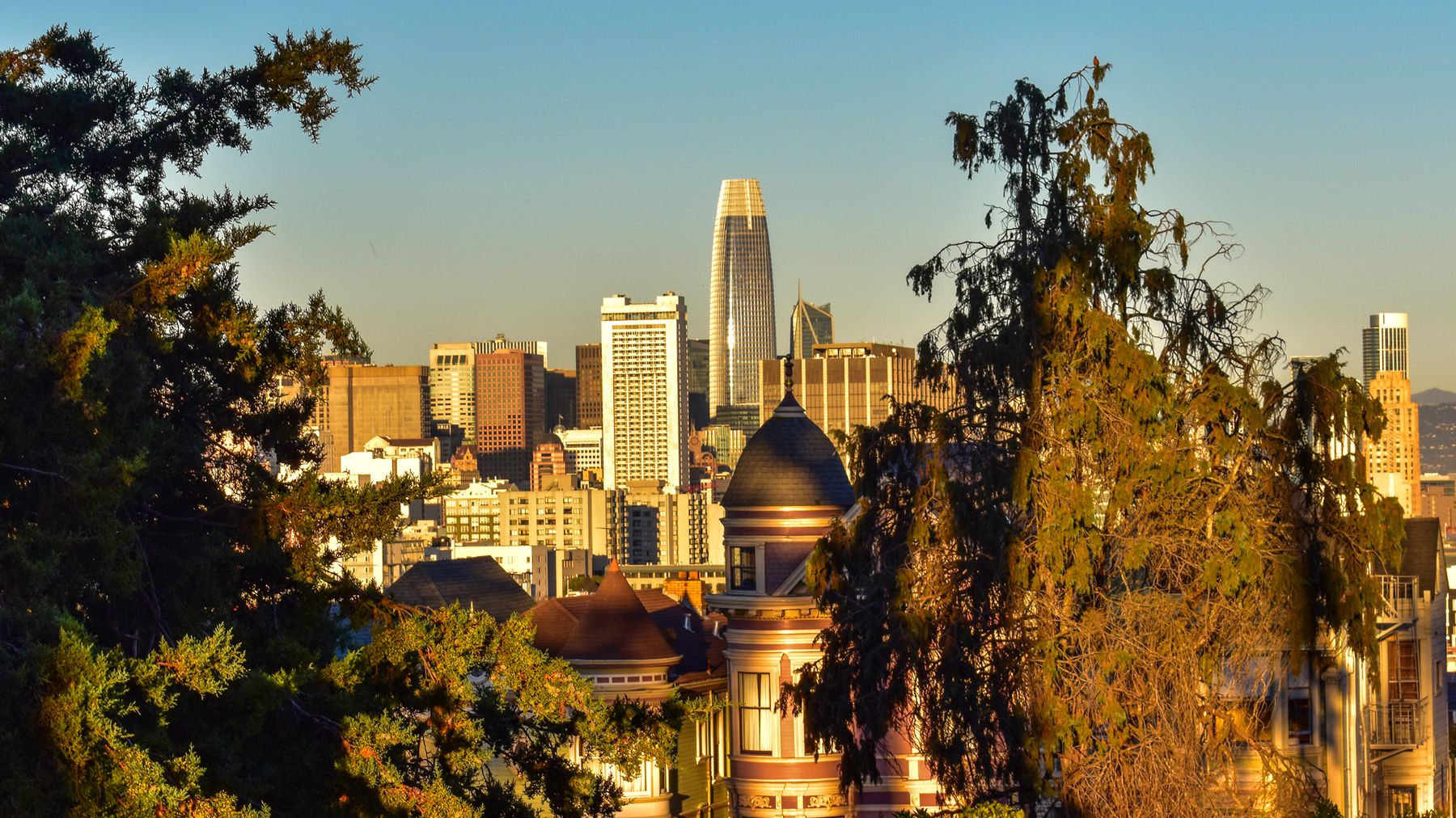 White Summers Caffee & James LLP San Francisco, CA Office