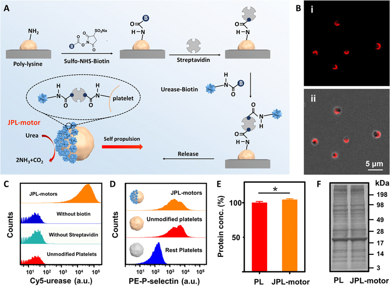Hai Tong & Partners Beijing, China Office
