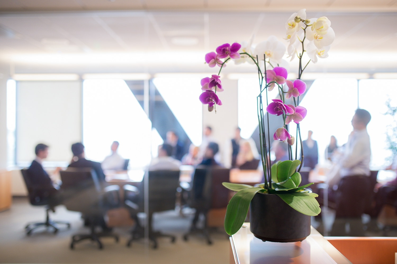 Farallon Capital Management, LLC San Francisco, CA Office