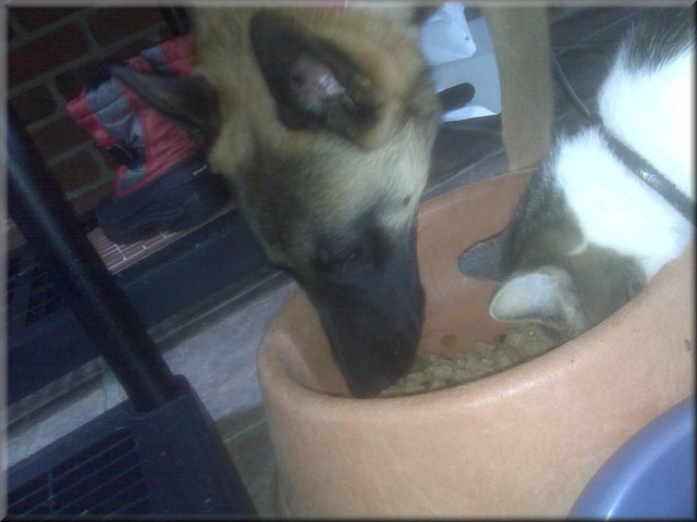 The Villamar Firm PLLC Falls Church, VA Office