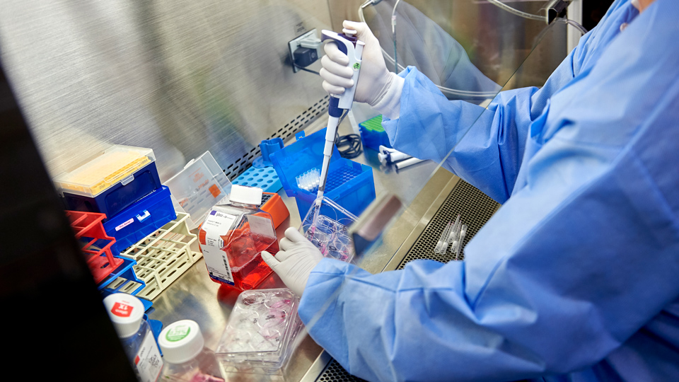 Law Offices of Abeer Amin New York City,  Office