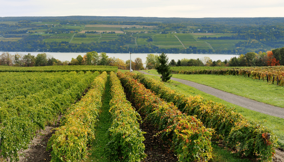 Underberg & Kessler LLP Canandaigua, NY Office