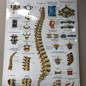 Law Offices of Scott Warmuth, LLP San Gabriel, CA Office