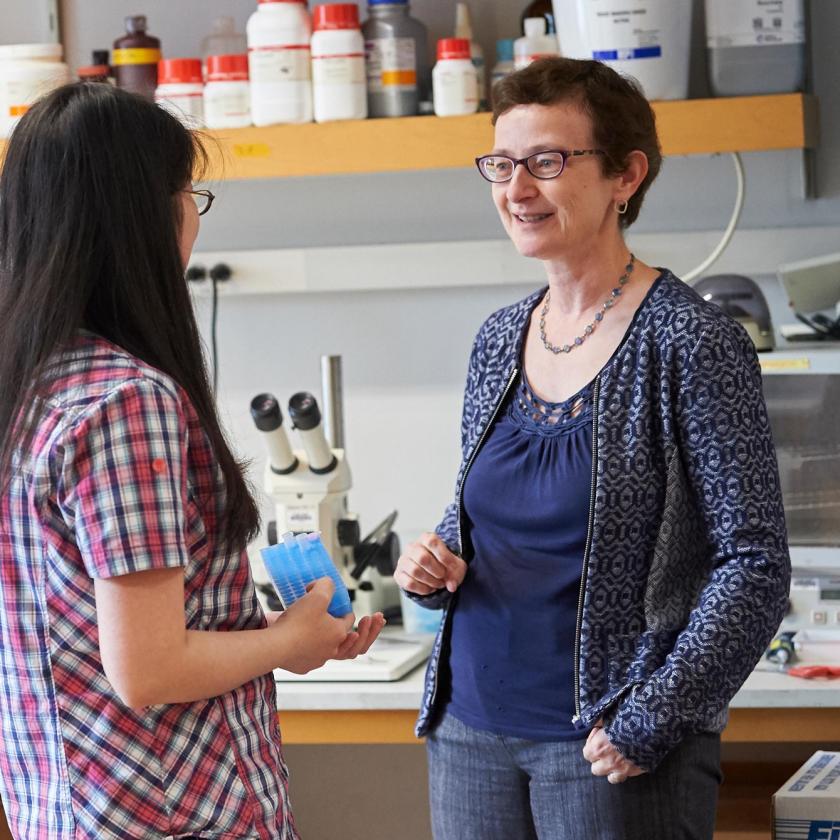 Reid & Wise LLC New York City, NY Office