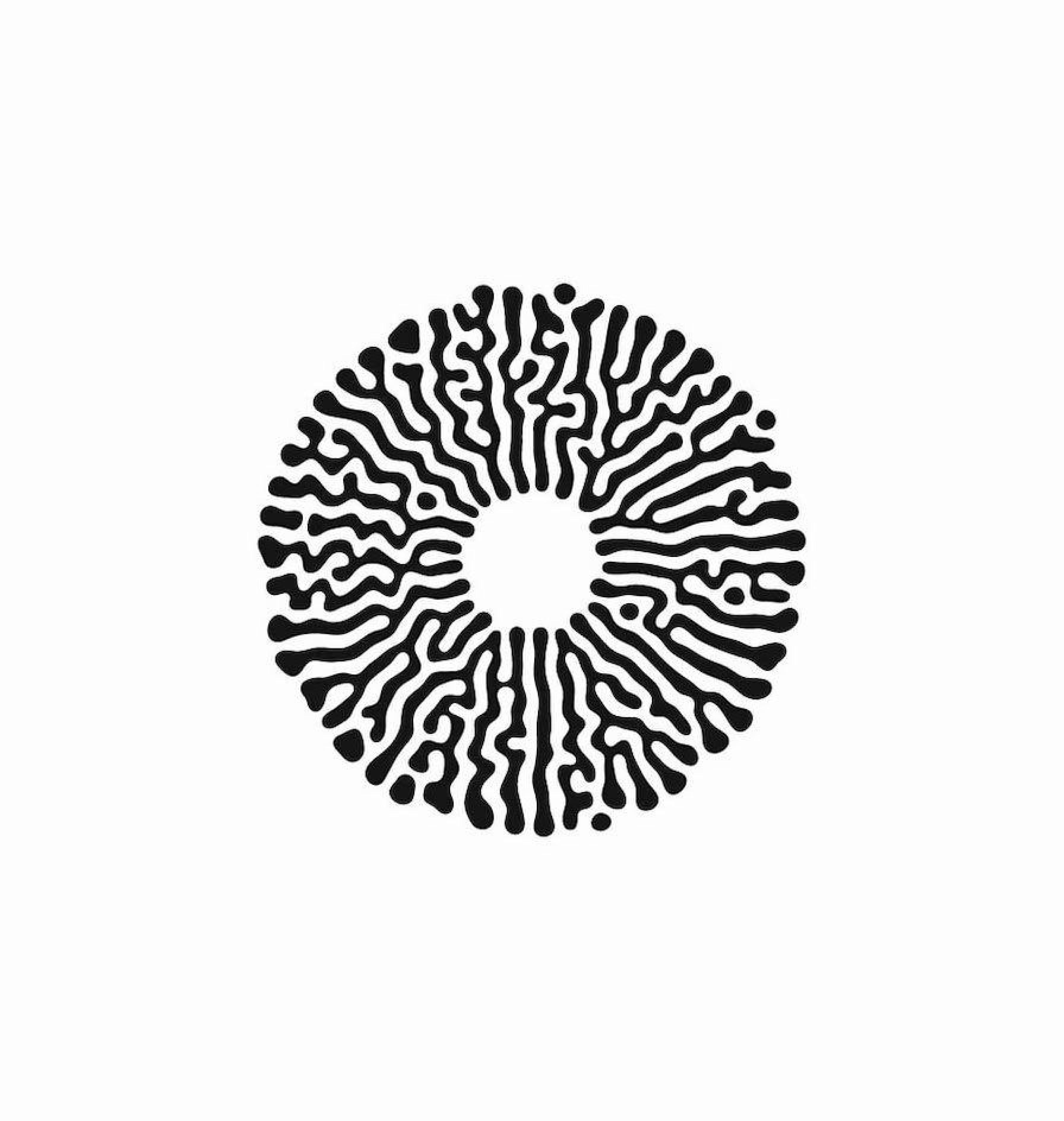 Holley & Menker, P.A Solana Beach,  Office