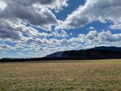 The Law Offices of Thomas E. Dewhurst III, PLLC Conway, NH Office