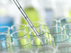 Kwan & Olynick LLP Berkeley,  Office