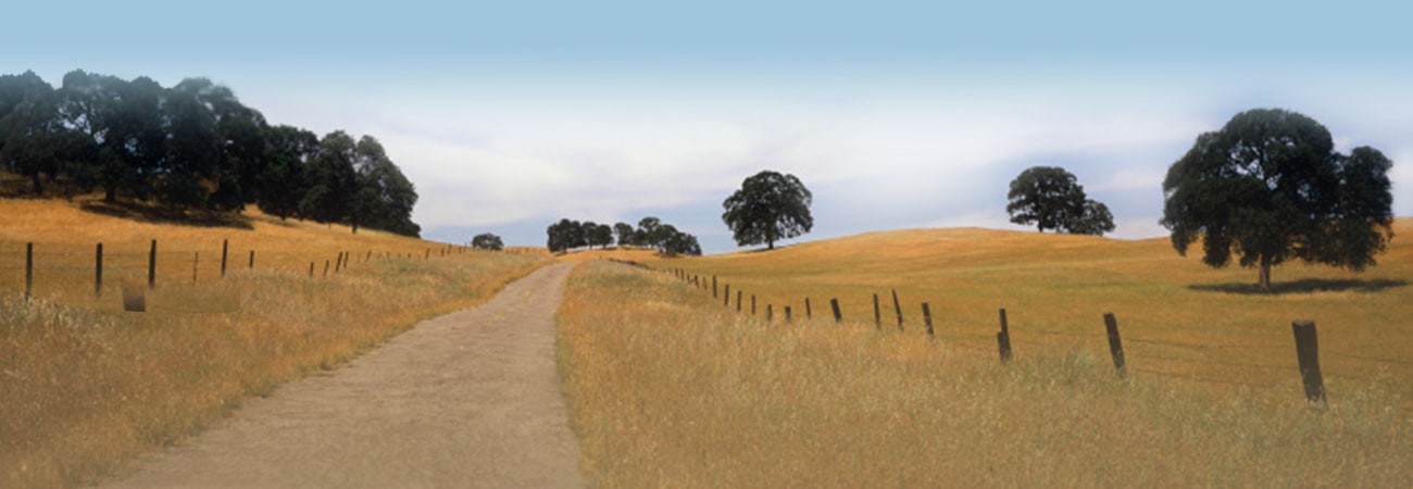 Ogden Law Firm, PC Modesto,  Office