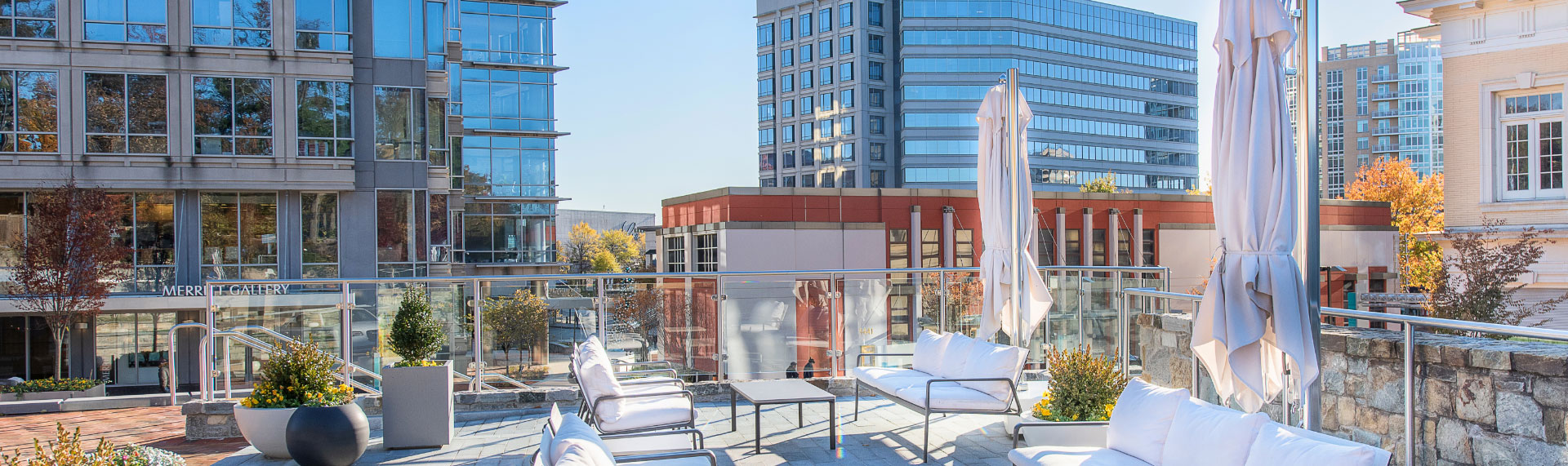 Delaney McKinney, LLP Chevy Chase, MD Office