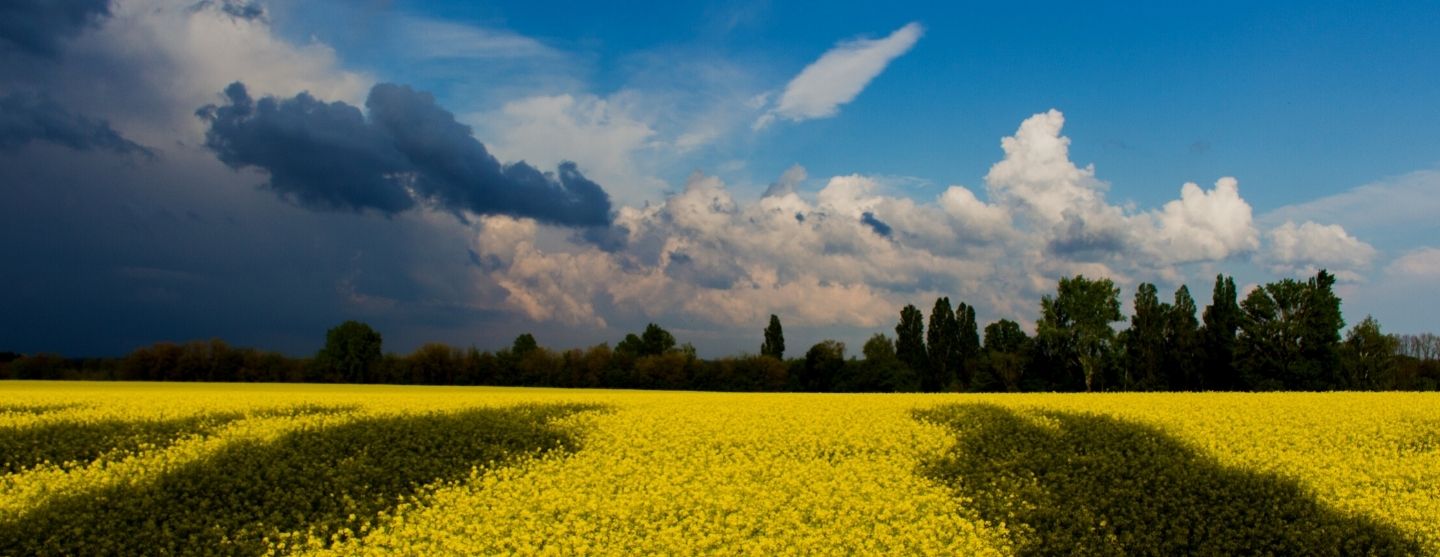 Law Offices of Mickey Beisman Albuquerque, NM Office