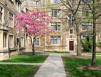 Law Offices of Conlin, McKenney & Philbrick, P.C Ann Arbor, MI Office