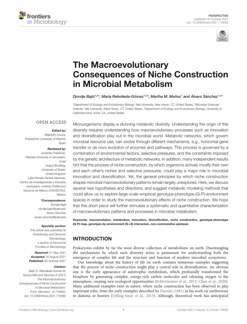 The Yerman Group Irvine, CA Office