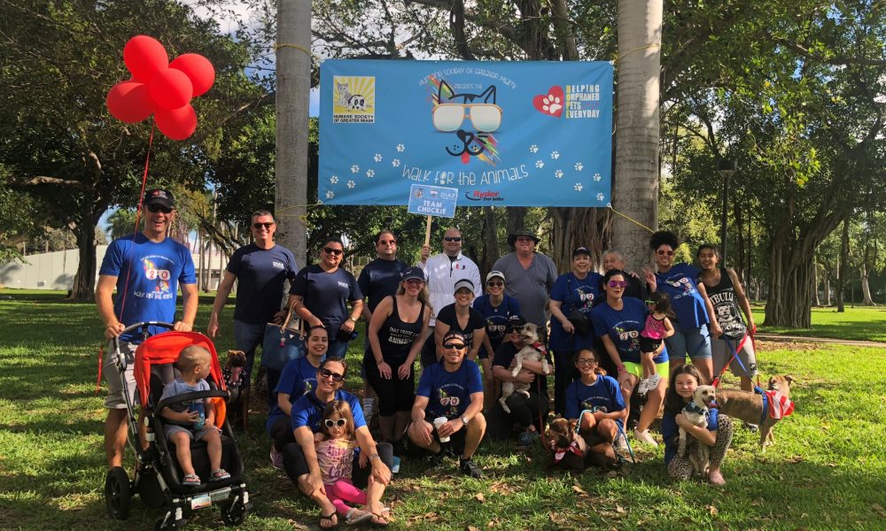 Diaz Trade Law, P.A North Miami,  Office