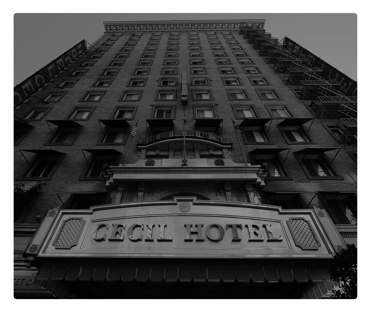 Black And Rose LLP Los Angeles, CA Office