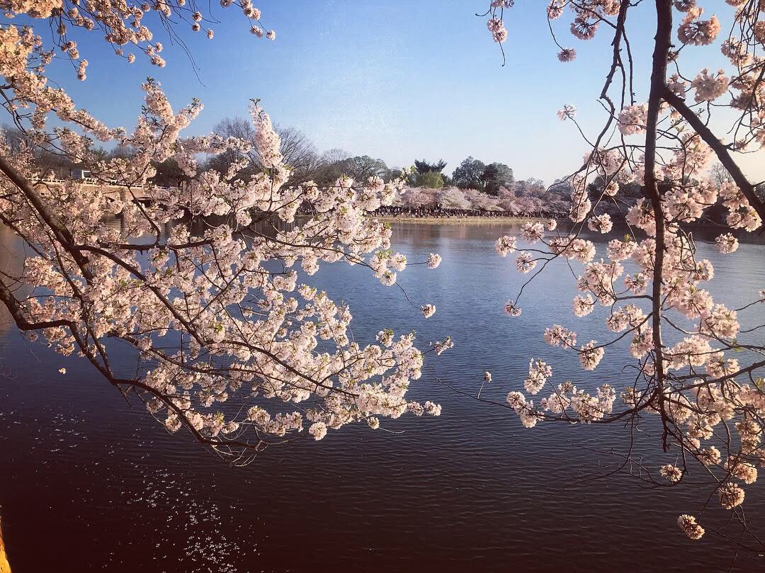 Kass Legal Group, PLLC Washington, DC Office