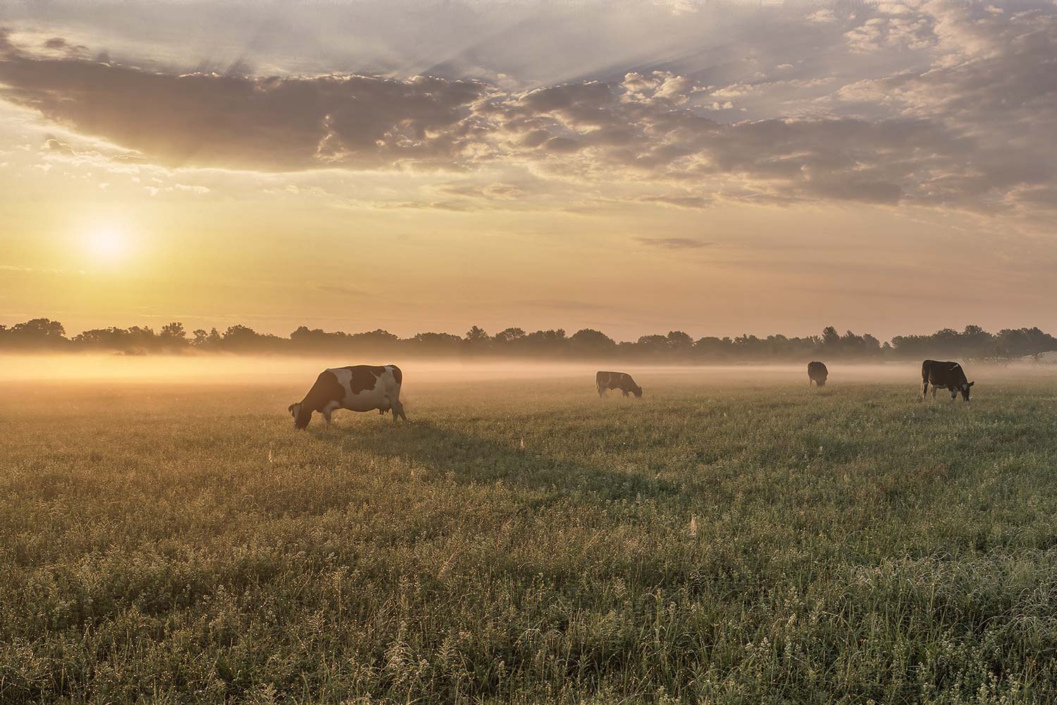 Baker Manock & Jensen Fresno, CA Office