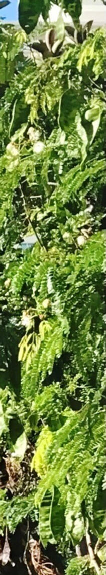 Zumpano Patricios Miami, FL Office