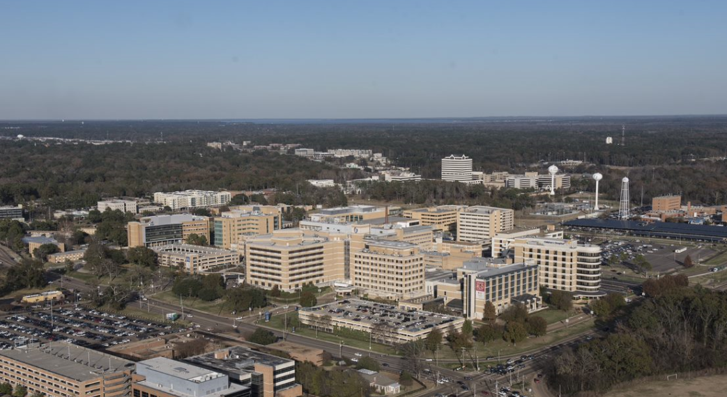 Stevens and Ward Jackson, MS Office
