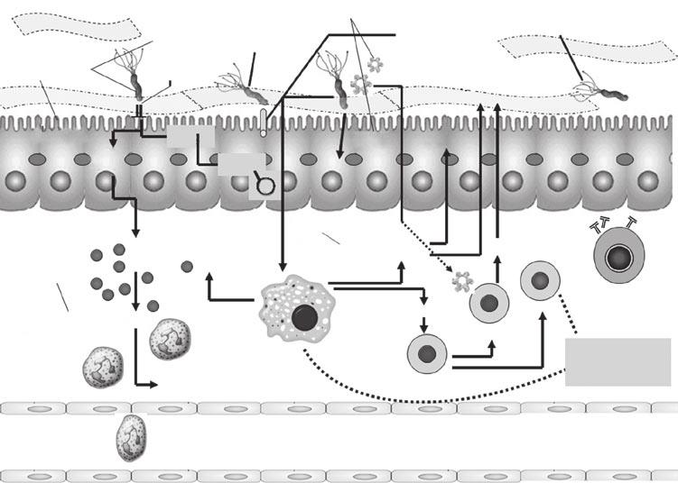 Marshall Denning Amsterdam, Colombia Office