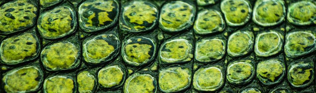 Dentons , United States Office