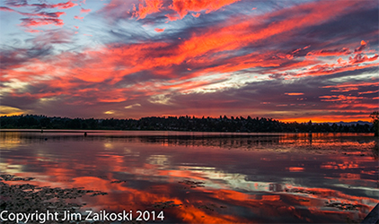 Ortiz & Gosalia, PLLC Redmond,  Office