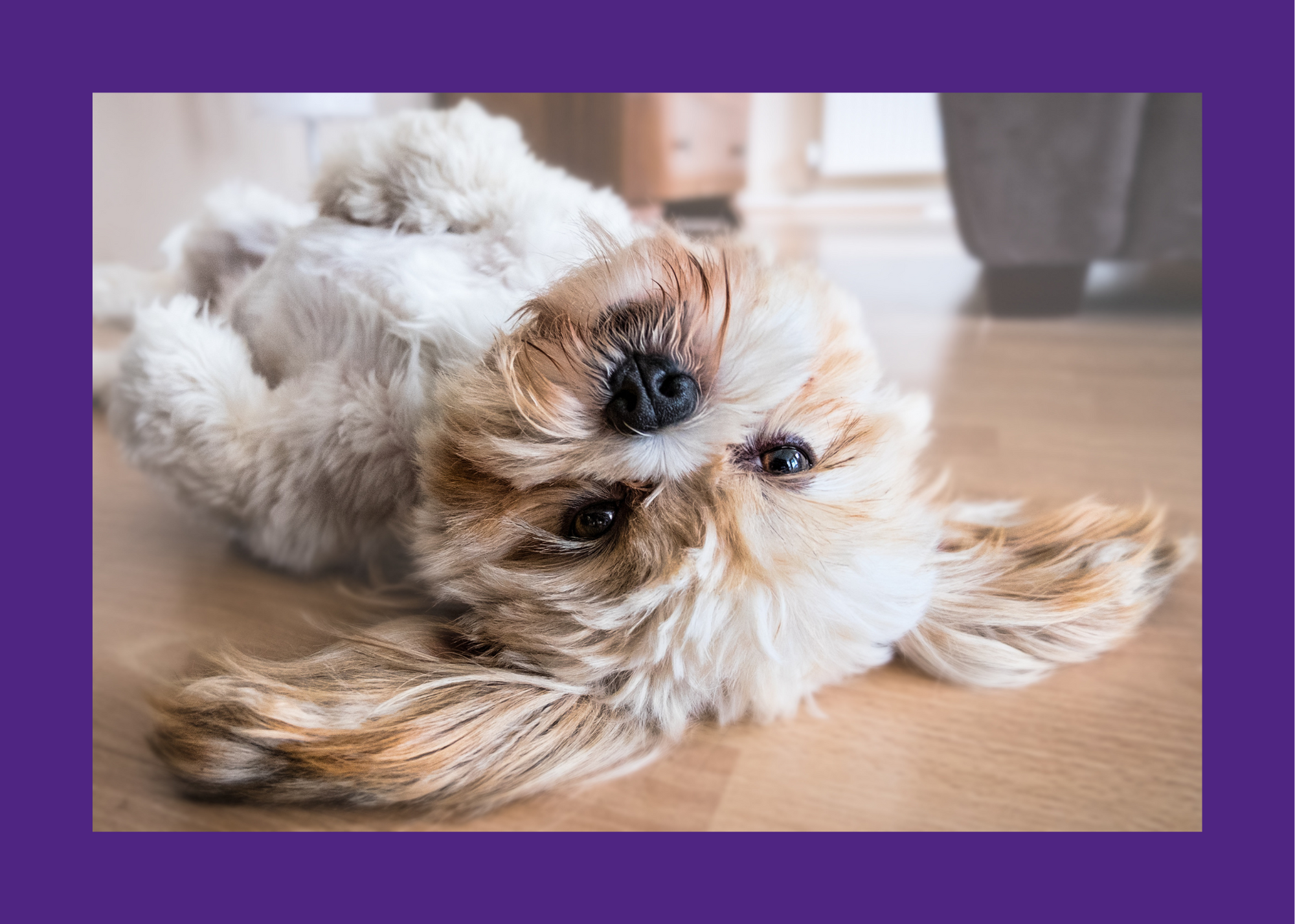 Akiens Law Firm, PLLC Plantersville, TX Office