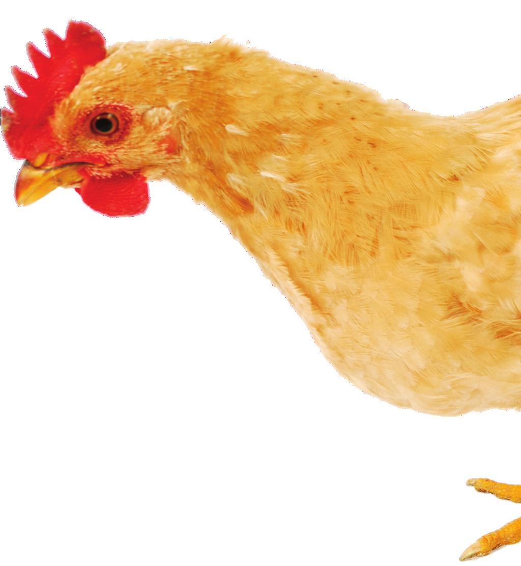 Reichard & Escalera San Juan, Costa Rica Office