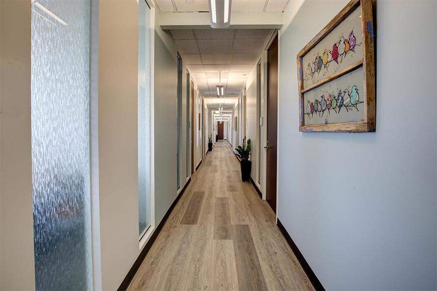 Ann Toney P.C Denver, CO Office