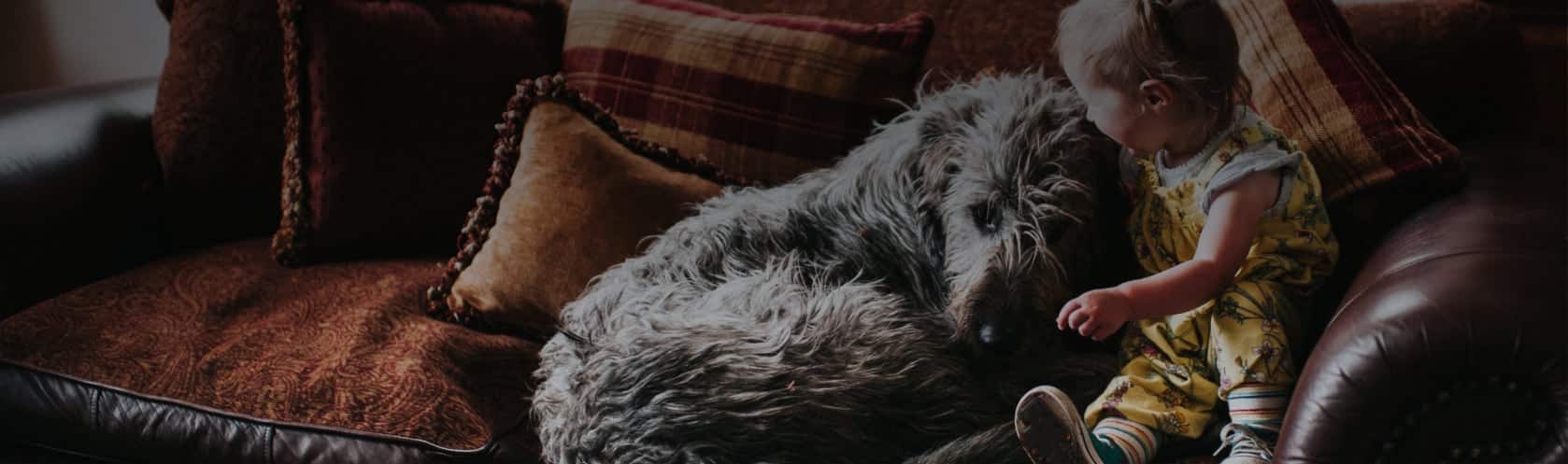 Couch Lambert, LLC Dallas, TX Office