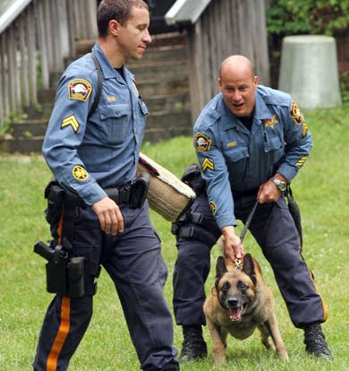 Perez Morris LLC Philadelphia, PA Office