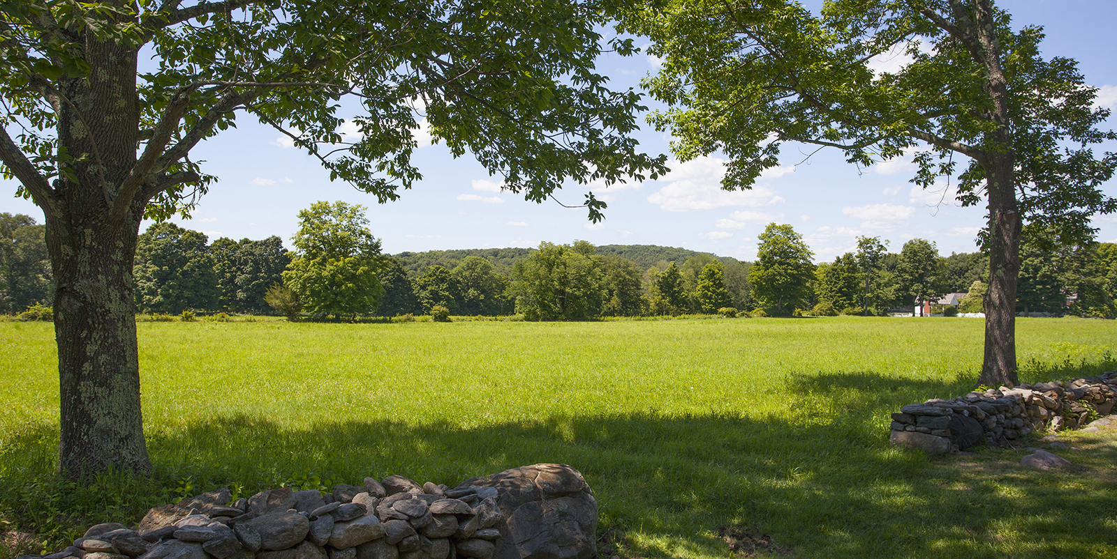 Reid and Riege, P.C Woodbury, CT Office