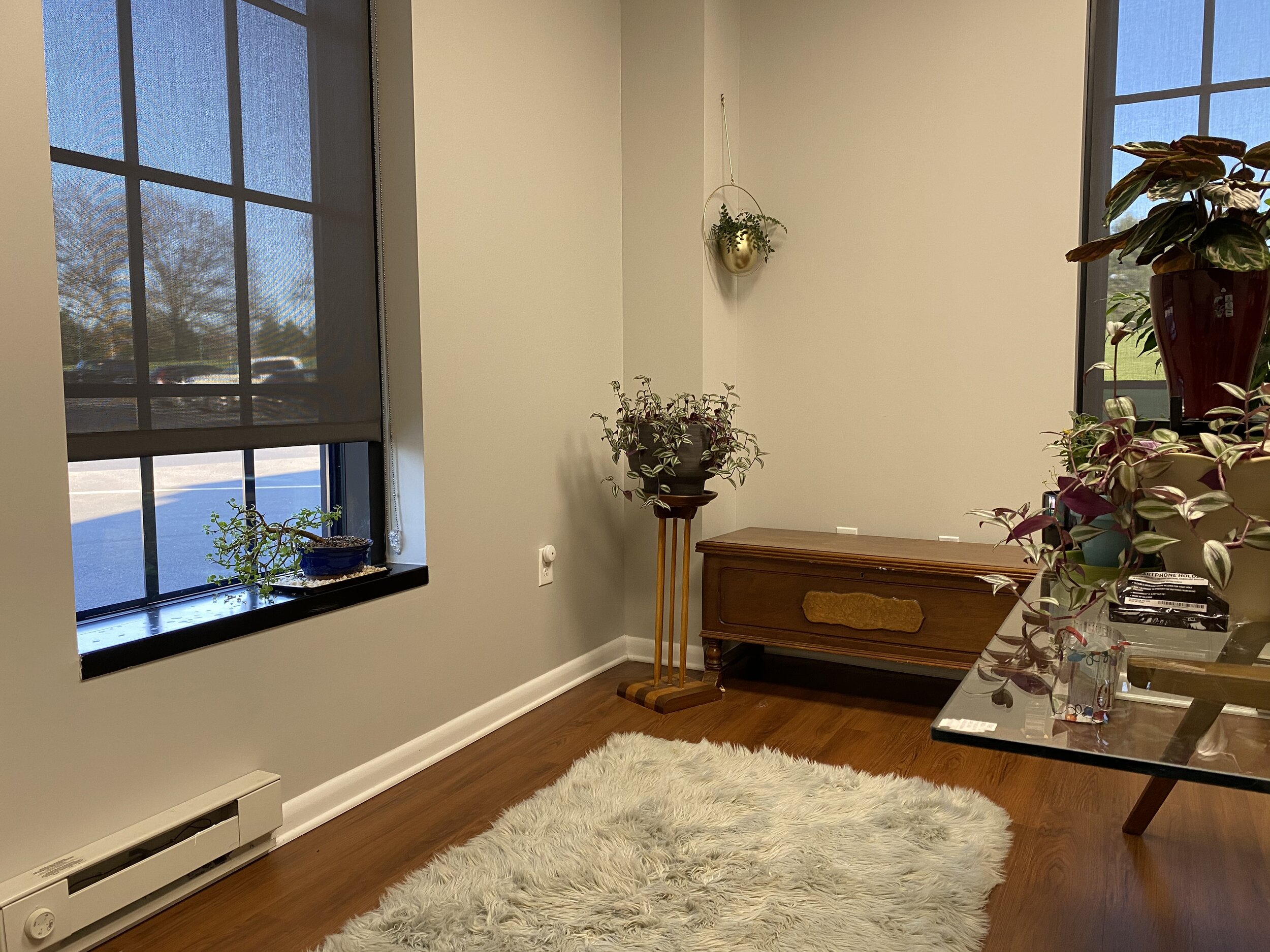 Elle Van Dahlgren Law, LLC Greenville,  Office