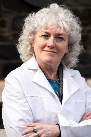 Friedman & Houlding LLP New York City,  Office