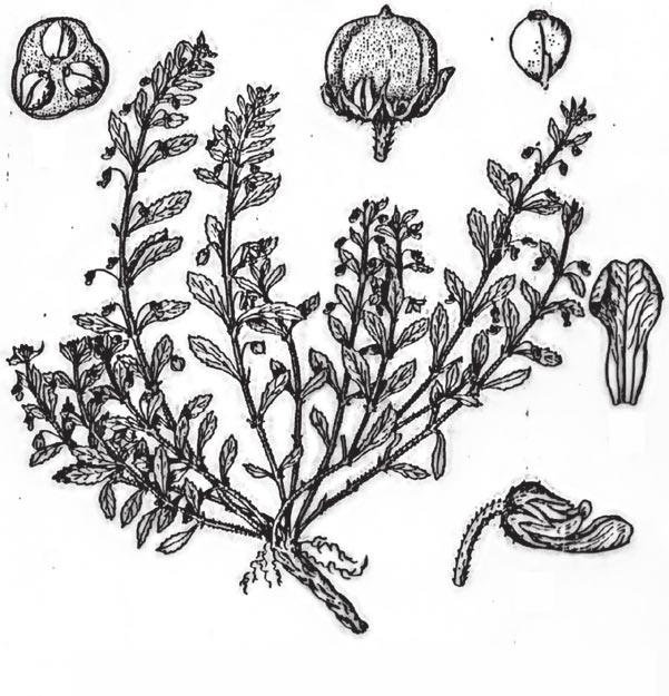 Marshall Denning Amsterdam, Colombia Office