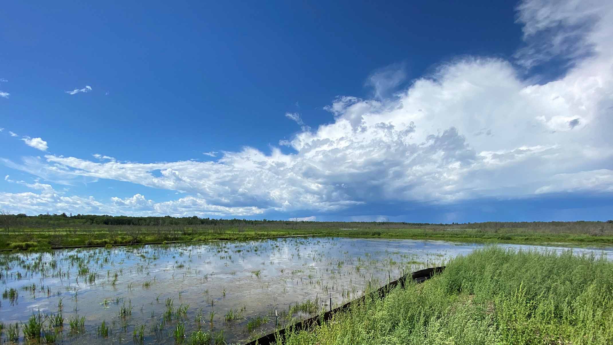 Miller Thomson LLP Whitehorse, Canada Office