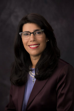The Mendieta Law Firm, PLLC Naples,  Office