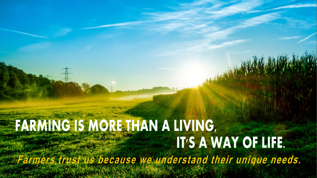 Willson & Pechacek, PLC Red Oak, IA Office